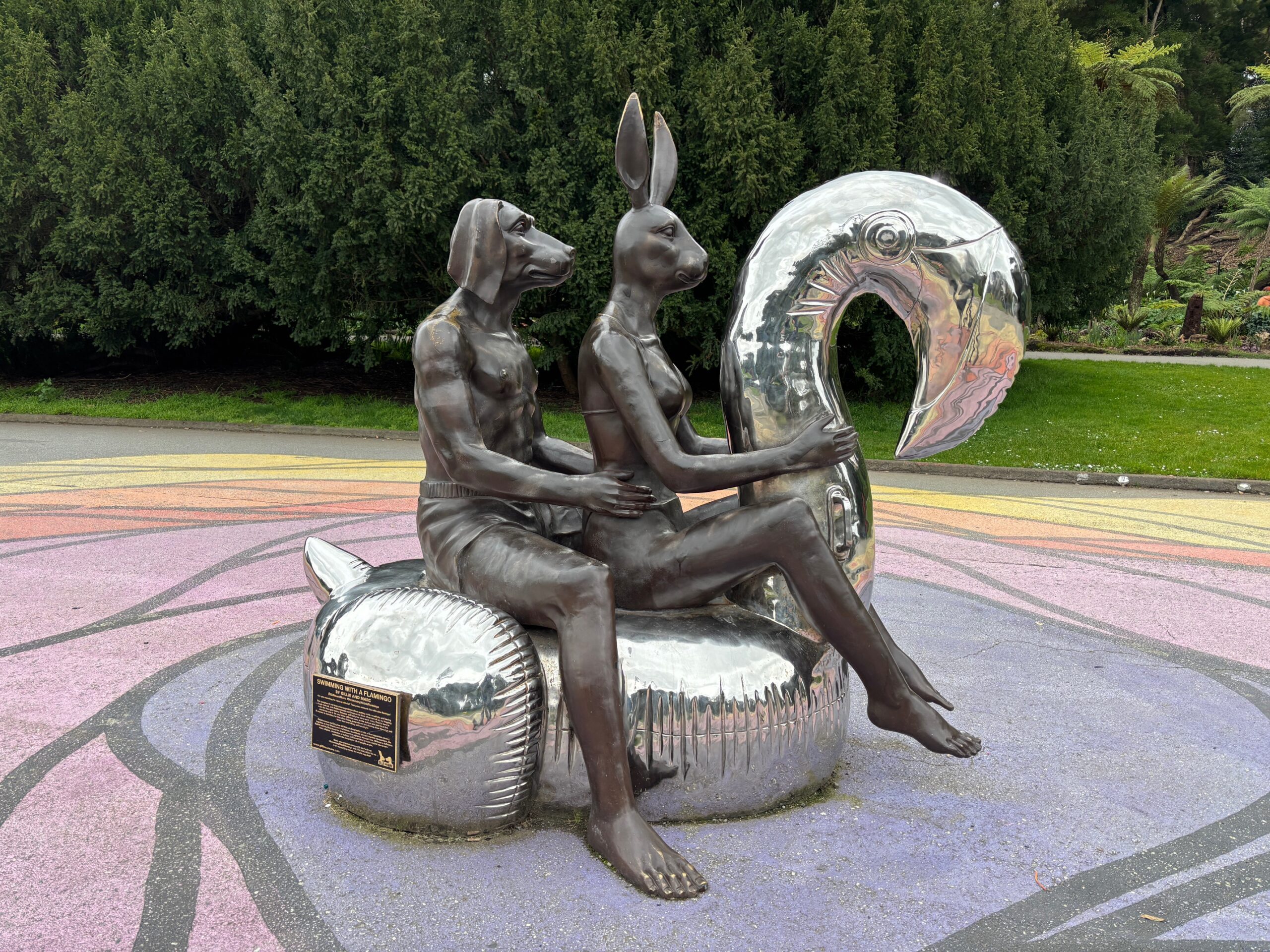 Swimming With a Flamingo