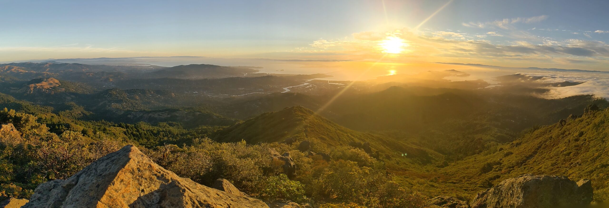 How Public Art Drives San Francisco’s Economic Engine